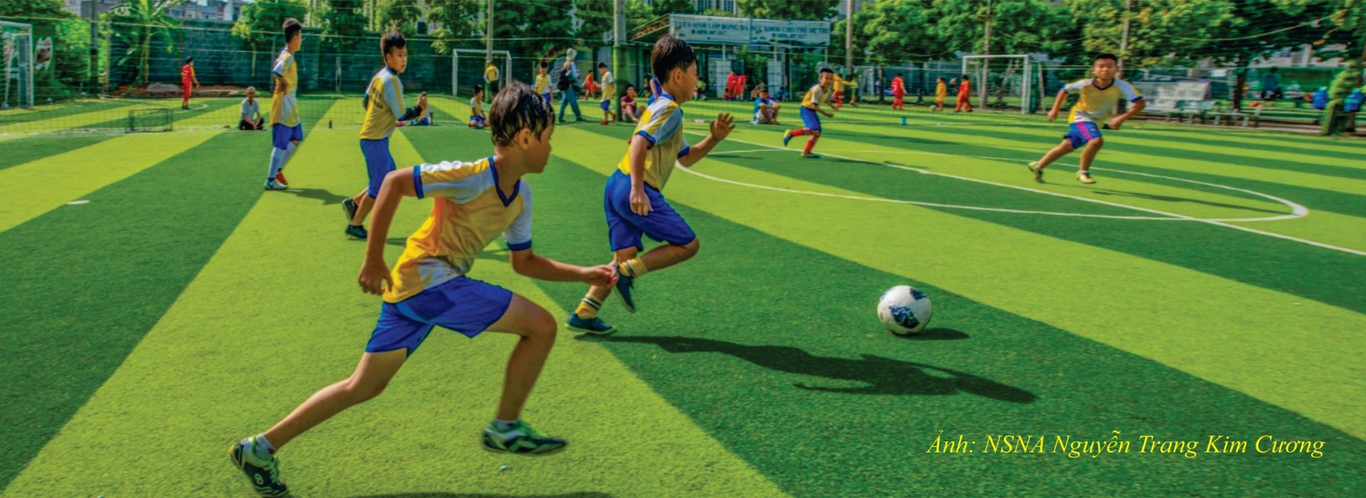 Trung tâm đào tạo bóng đá Voi Việt