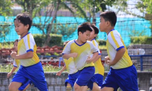 Cách thức cụ thể của 